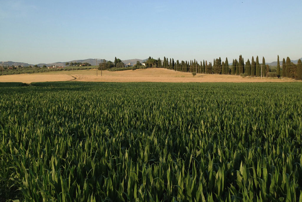 Azienda Agricola Fagiolo